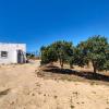 Parcela de 6.300 m2 con Casa a Reformar, Callejón Borreguito. Chiclana. Inversión junto Hotel Fuentemar